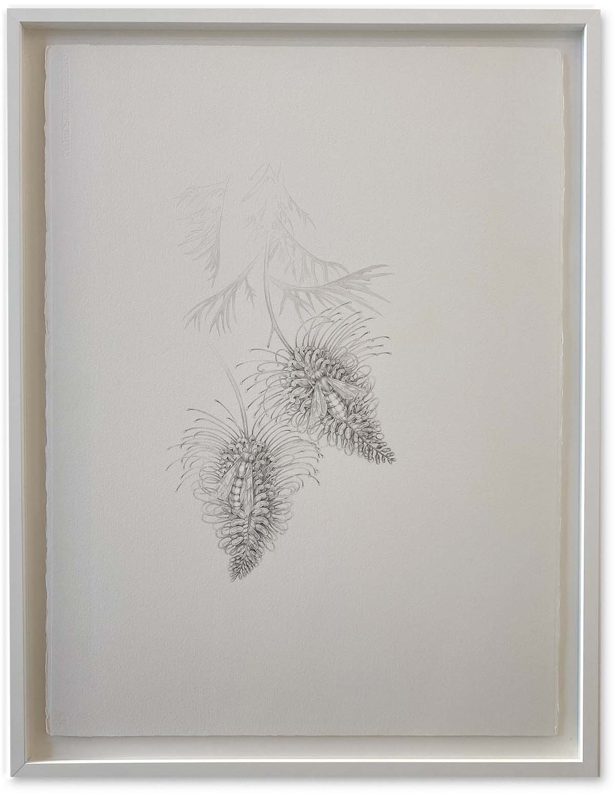 Flowers_Tane Andrews@2x