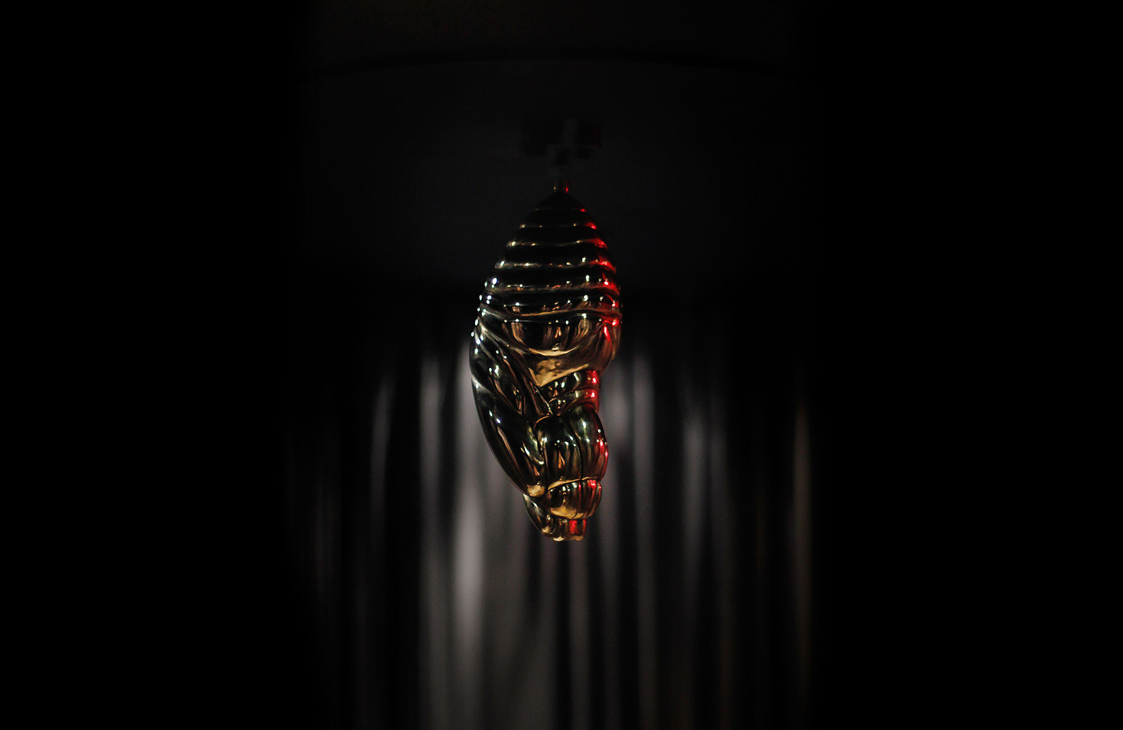 cocoon_Tane%20Andrews@2x